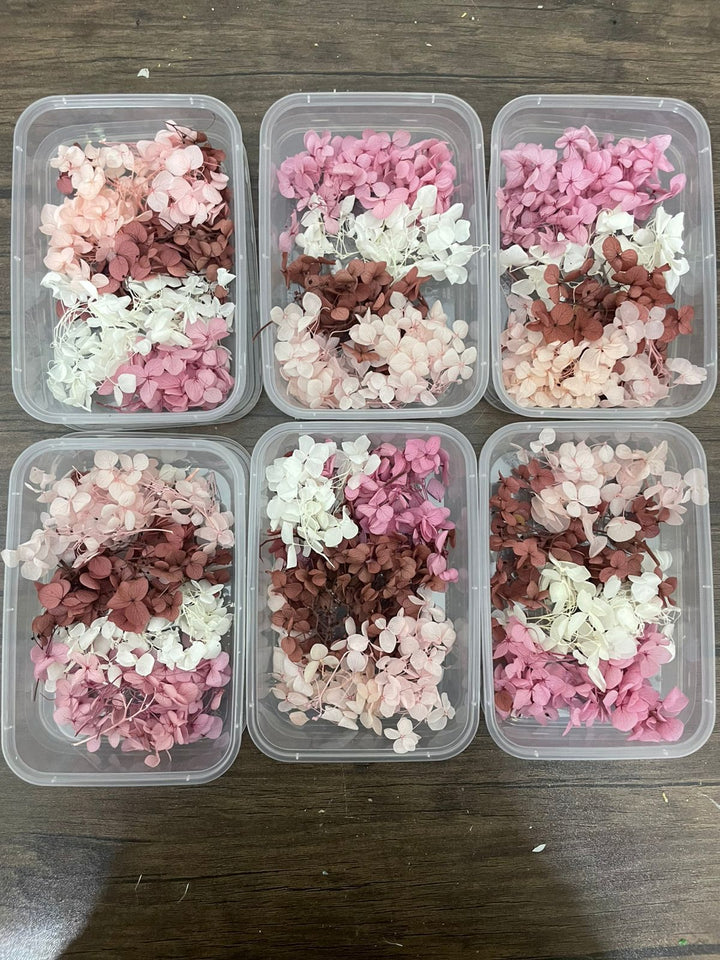 Hydrangea Flower Box | Preserved Flowers for Resin Art, Candle & DIY Crafts